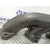 Colector Escape para Mini Mini Clubman (R55)