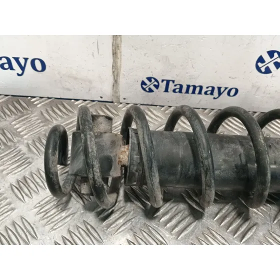 Amortiguador Trasero Derecho para Renault Megane Ii Berlina 3P