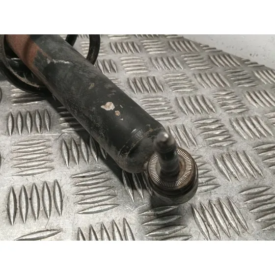 Amortiguador Trasero Izquierdo para Renault Megane Ii Berlina 3P