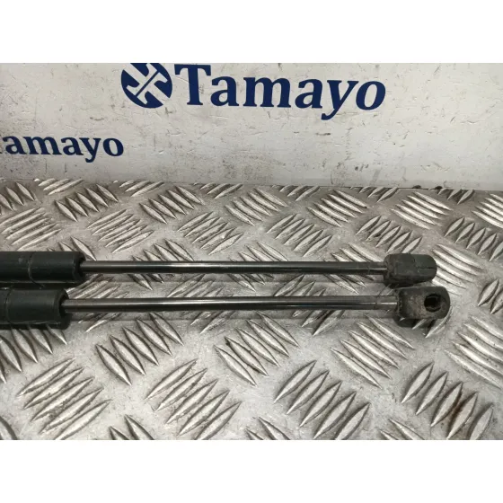 Amortiguadores Maletero / Porton para Renault Scenic Ii