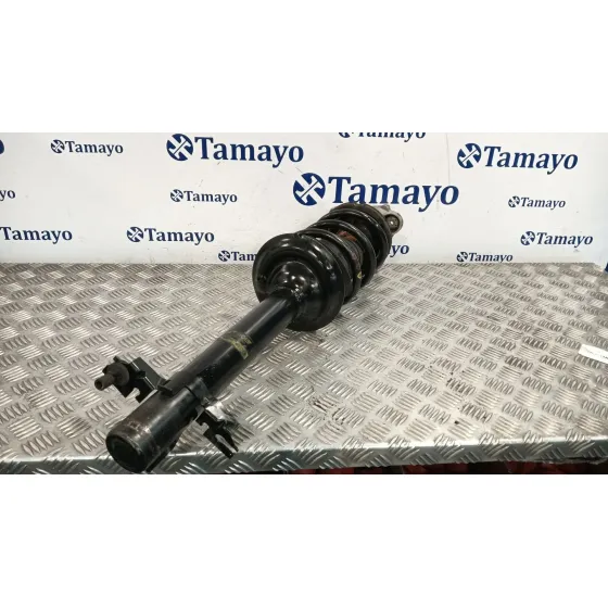 Amortiguador Delantero Izquierdo para Fiat Ducato Caja Cerrada 33 (06.2006 =>)