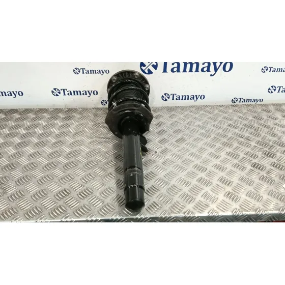 Amortiguador Delantero Izquierdo para Bmw Serie 1 Lim. (F21)