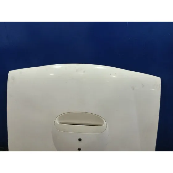 Capot para Nissan Terrano/Terrano.ii (R20)