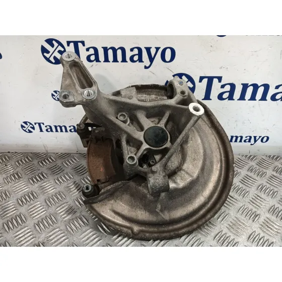 Mangueta Trasera Izquierda para Volkswagen Passat Berlina (3C2)