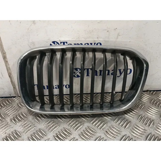 Rejilla Paragolpes Derecha para Bmw 1 (F21)