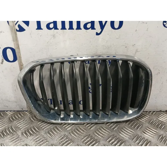 Rejilla Paragolpes Izquierda para Bmw 1 (F21)