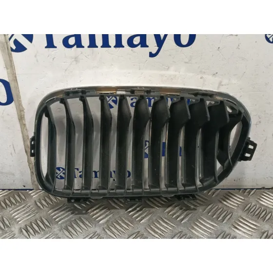 Rejilla Paragolpes Izquierda para Bmw 1 (F21)