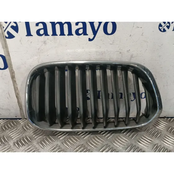 Rejilla Paragolpes Izquierda para Bmw 1 (F21)