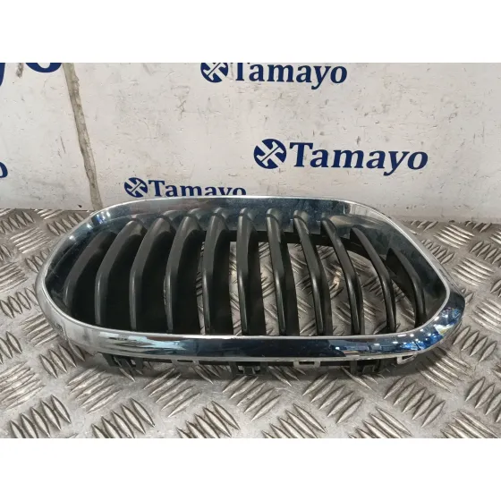 Rejilla Paragolpes Izquierda para Bmw 1 (F21)