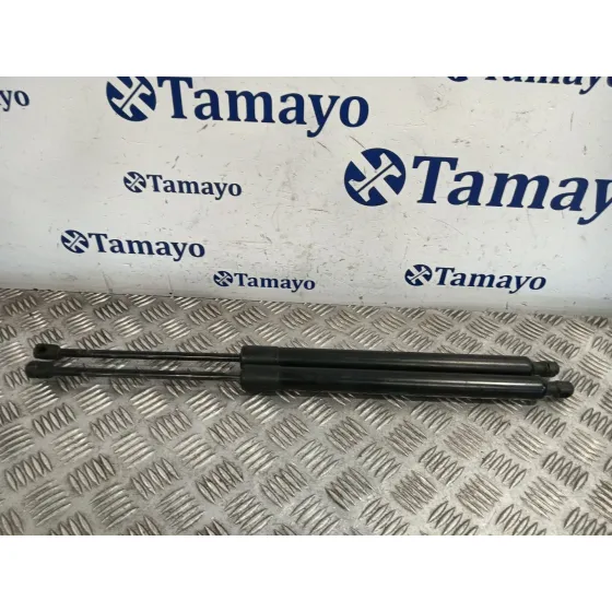 Amortiguadores Maletero / Porton para Ford Tourneo Courier (C4A)