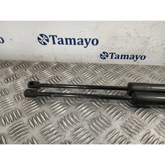 Amortiguadores Maletero / Porton para Ford Tourneo Courier (C4A)