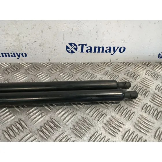 Amortiguadores Maletero / Porton para Ford Tourneo Courier (C4A)