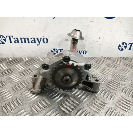 Bomba Aceite para Audi A3 (8P)
