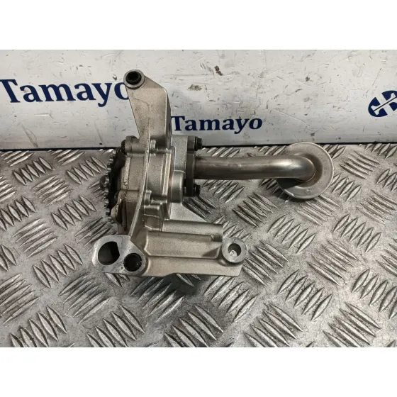 Bomba Aceite para Audi A3 (8P)