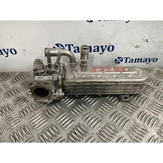 Enfriador Egr para Audi A3 (8P)