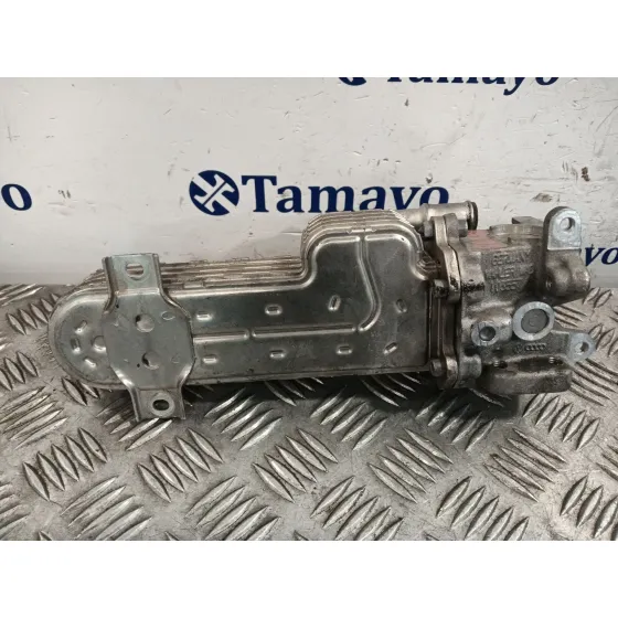 Enfriador Egr para Audi A3 (8P)