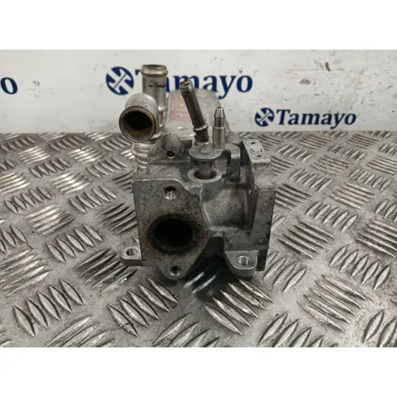 Enfriador Egr para Audi A3 (8P)