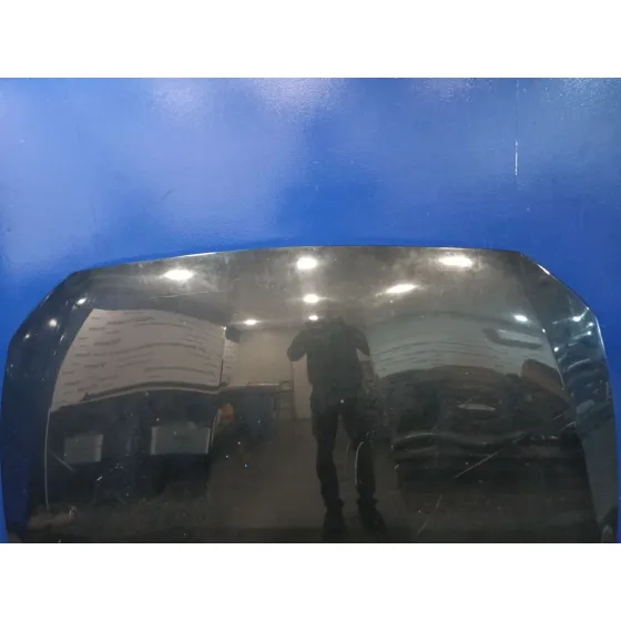 Capot para Bmw Serie 1 Lim. (F21)