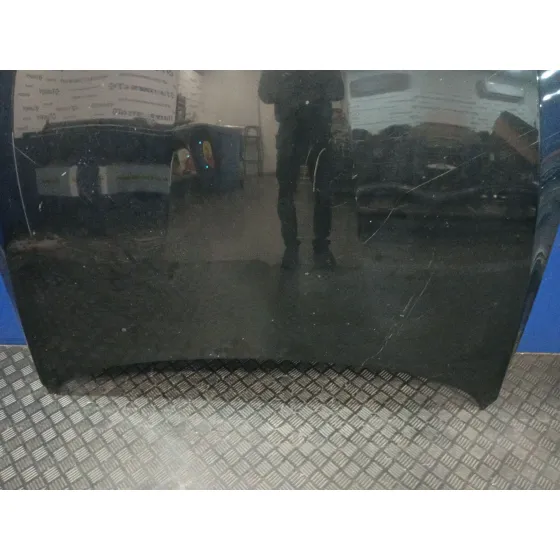 Capot para Bmw Serie 1 Lim. (F21)