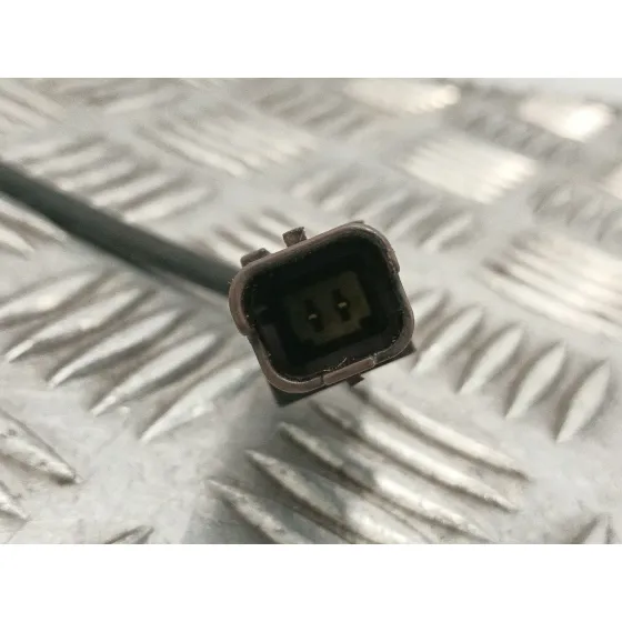 Sonda Lambda para Peugeot 307 (3A/C)