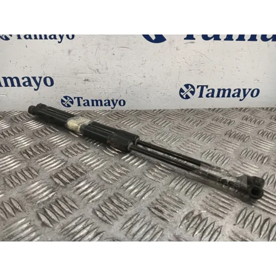 Amortiguadores Maletero / Porton para Bmw Serie 1 Berlina (E81/E87)