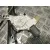 Elevalunas Delantero Izquierdo para Bmw Serie 1 Berlina (E81/E87)