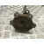 Transmision Central Delantera para Audi A4 Allroad Quattro (8K)