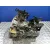 Caja Cambios para Hyundai Getz (Tb)
