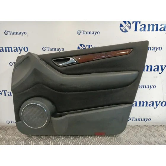 Guarnecido Puerta Delantera Derecha para Mercedes-Benz Clase A (W169)