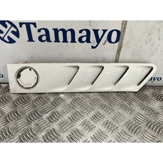 Rejilla Capot para Bmw Z3 Roadster (E36)