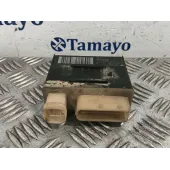 Rele Mando Calefaccion para Peugeot 207
