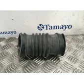 Tubo para Mazda Cx-30 (Dm, Dt, Ed)
