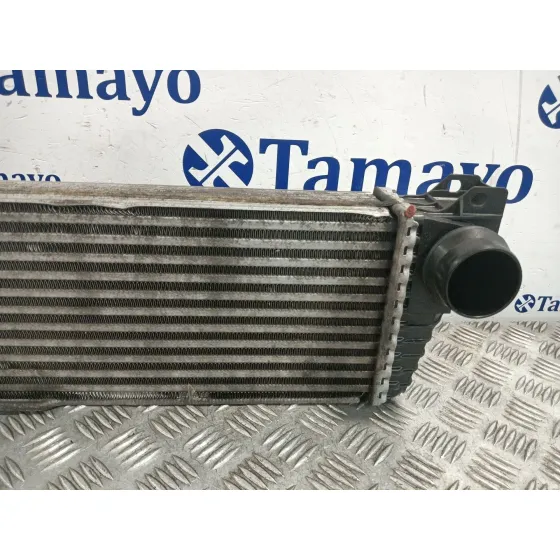 Intercooler para Mercedes-Benz Viano (W639)