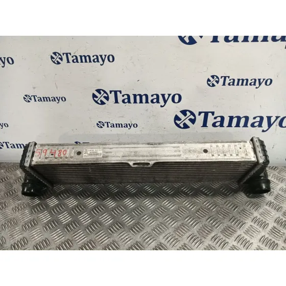 Intercooler para Mercedes-Benz Viano (W639)