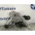 Motor Limpia Trasero para Citroën C4 Grand Picasso