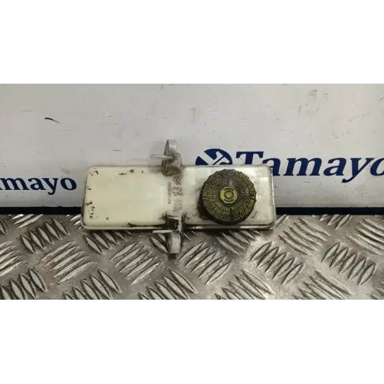 Deposito Servo para Citroën C4 Grand Picasso Ii (Da_, De_)