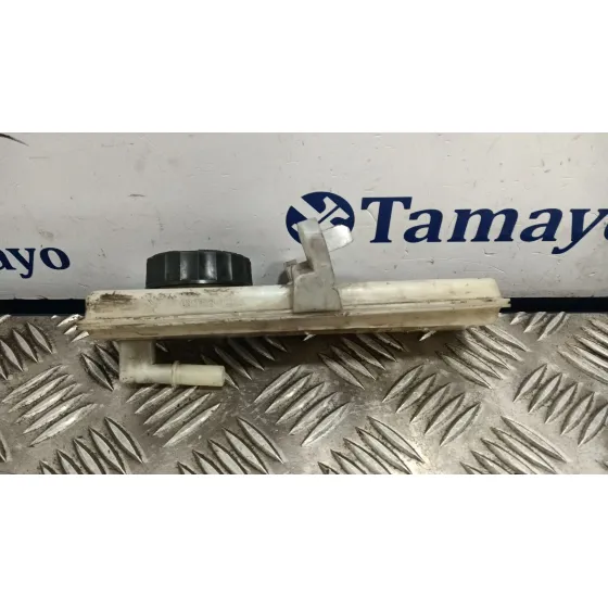 Deposito Servo para Citroën C4 Grand Picasso Ii (Da_, De_)