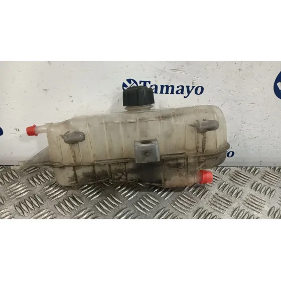 Deposito Expansion para Renault Clio Iii
