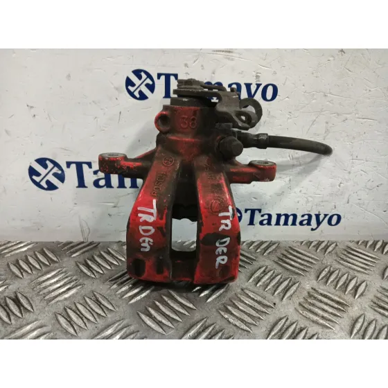 Pinza Freno Trasera Derecha para Fiat Bravo (198)