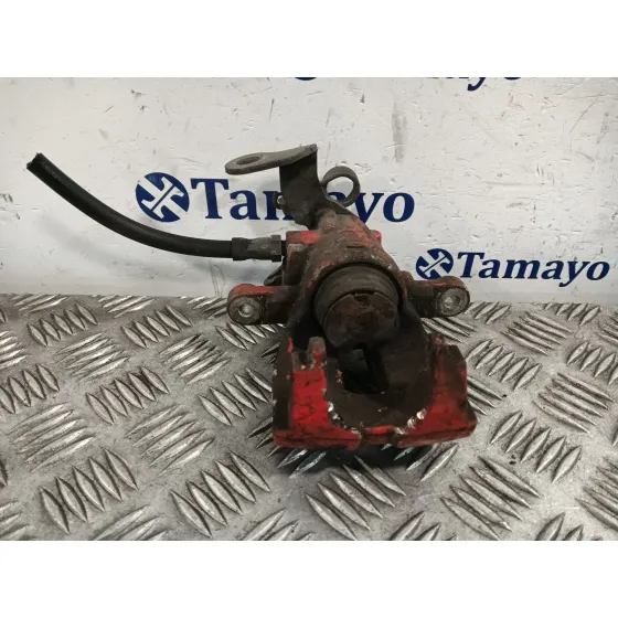 Pinza Freno Trasera Derecha para Fiat Bravo (198)