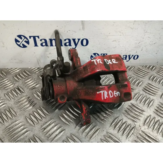 Pinza Freno Trasera Derecha para Fiat Bravo (198)