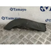 Molduras Traseras para Bmw Mini (R50,R53)