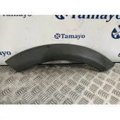 Aletin Delantero Derecho para Bmw Mini (R50,R53)