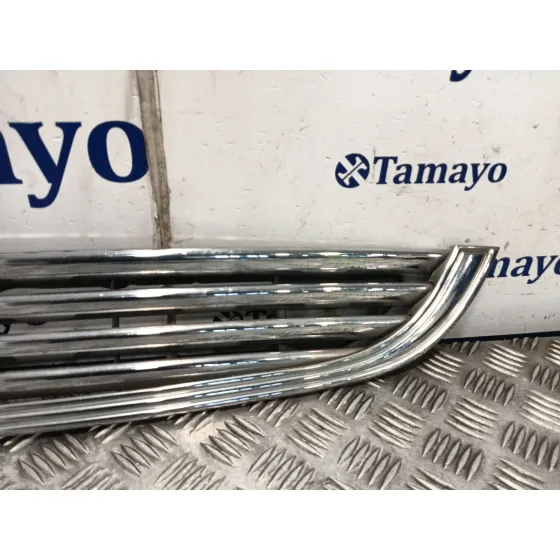 Rejilla Delantera para Bmw Mini (R50,R53)