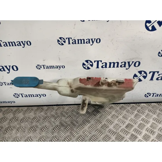 Deposito Limpia para Bmw Mini (R50,R53)