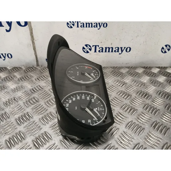 Cuadro Instrumentos para Bmw Serie 3 Berlina (E90)