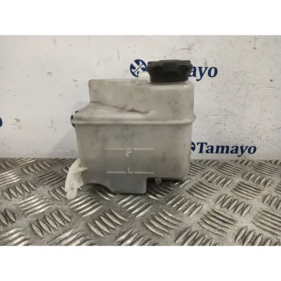 Deposito Expansion para Hyundai Ix20 (Jc)
