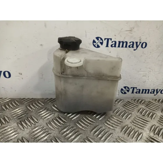 Deposito Expansion para Hyundai Ix20 (Jc)