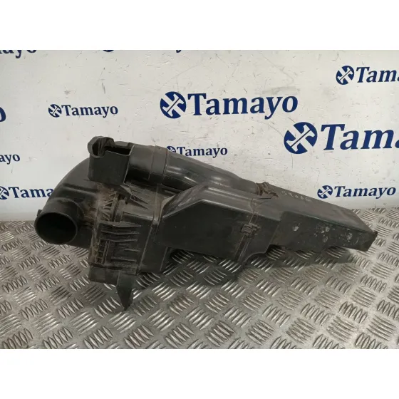 Carcasa Filtro Aire para Hyundai Ix20 (Jc)