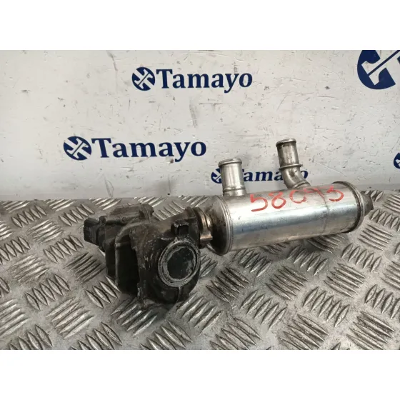 Valvula Egr para Citroën C4 Berlina